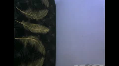 Snapshot of healyn chatting on January 2025 03:47:02 AM healyn online show from January 2025 03:47:02 AM