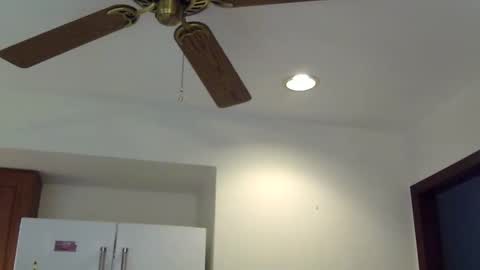 heatwavee online show from April 2026 12:28:01 PM