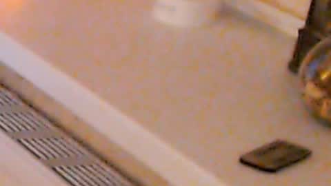 Snapshot of heaven_chloe chatting on January 2025 02:14:02 AM Heaven girl online show from January 2025 02:14:02 AM