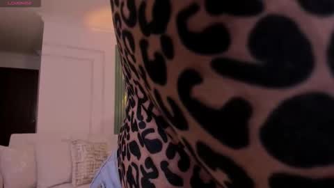 Snapshot of heidy_jhons chatting on February 2026 07:26:01 PM Heidy online show from February 2026 07:26:01 PM