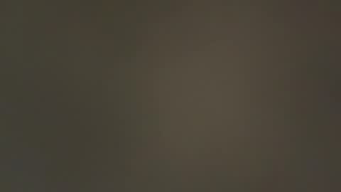 hellohowareyou66 online show from February 2025 04:50:02 PM