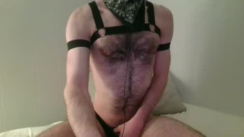 Hector or Hex for short online show from March 2026 05:20:02 AM