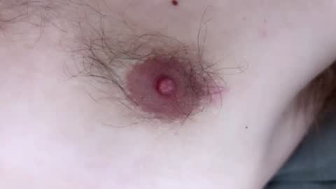 Arnold online show from December 2024 09:20:01 PM