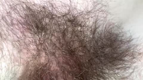 Snapshot of hey_arnold chatting on February 2025 09:15:02 PM Arnold online show from February 2025 09:15:02 PM