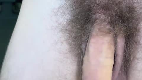 Arnold online show from November 2025 09:42:02 PM