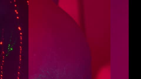 Alina online show from December 2024 07:00:02 PM