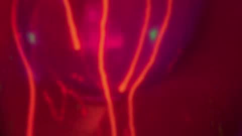 Alina online show from December 2024 07:25:02 PM