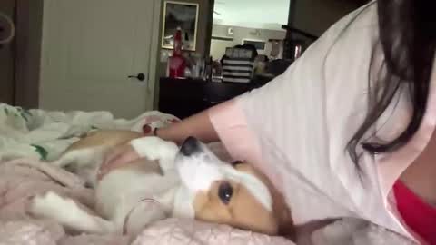 HiddenR0se online show from February 2026 03:14:02 AM