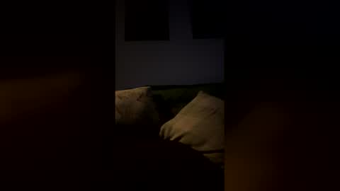 Drake online show from February 2026 06:50:01 AM