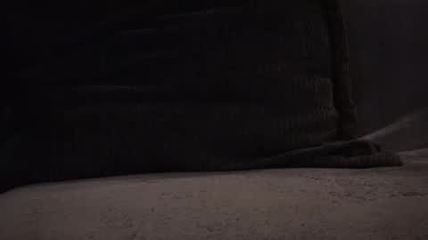 hikinxxx online show from November 2025 03:18:02 AM