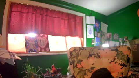 Snapshot of hippiedad333 chatting on June 2026 09:17:01 PM hippiedad333 online show from June 2026 09:17:01 PM