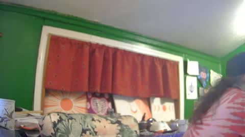 Snapshot of hippiedad333 chatting on June 2026 02:22:01 AM hippiedad333 online show from June 2026 02:22:01 AM