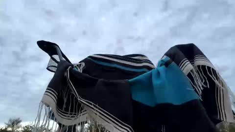 Snapshot of hippiezen chatting on January 2026 12:58:01 AM Hippie Jijm online show from January 2026 12:58:01 AM