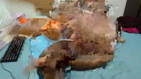 Snapshot of hips2sexy chatting on December 2024 08:00:01 PM hips2sexy online show from December 2024 08:00:01 PM