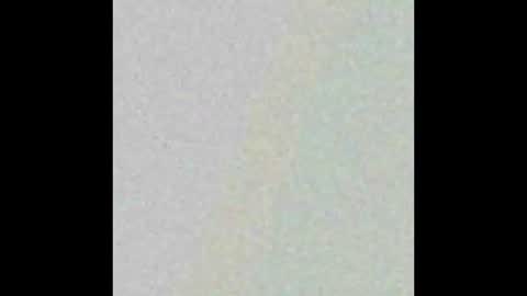 Hung top 4 furry dads online show from March 2025 01:26:02 PM