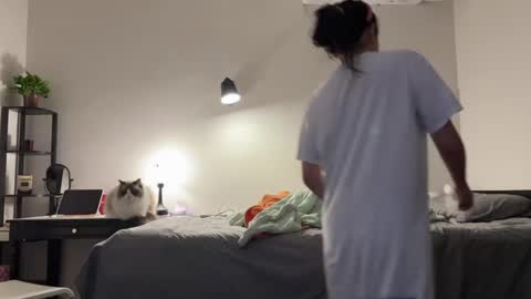 amy online show from September 2025 05:33:01 AM