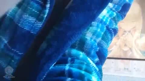 Snapshot of holawenasoyjuan chatting on February 2026 10:58:02 AM holawenasoyjuan online show from February 2026 10:58:02 AM