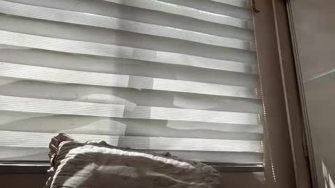 Snapshot of holly_wyn chatting on March 2026 01:55:01 AM holly_wyn online show from March 2026 01:55:01 AM