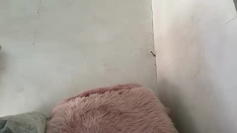Snapshot of holly_wyn chatting on March 2026 12:15:01 AM holly_wyn online show from March 2026 12:15:01 AM