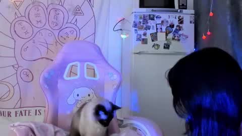 Ho Lee Sheet online show from January 2026 06:23:02 PM