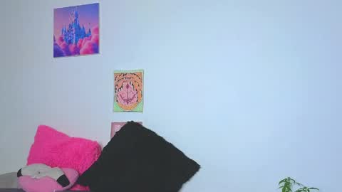      online show from May 2026 11:43:02 PM