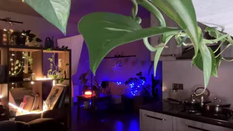 dori not holy get my tg channel with link from description under last photo online show from April 2026 07:48:01 PM