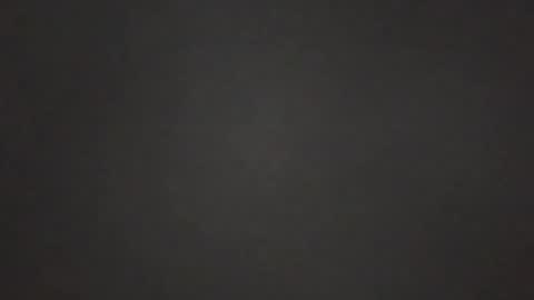 homers7986 online show from April 2026 08:53:01 PM