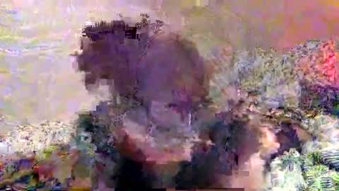 hometownwitch online show from November 2025 06:19:01 PM