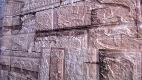 Victoria online show from March 2026 07:59:01 AM