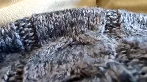 Tiny cock online show from March 2025 07:12:02 PM