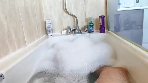 hornybiker1987 online show from November 2025 12:05:01 PM