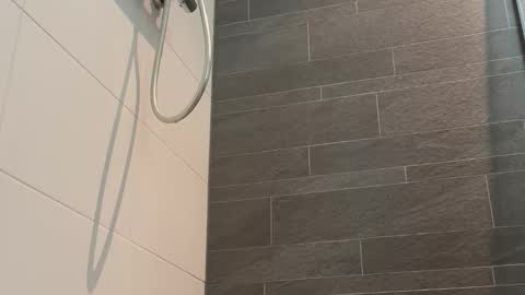 Toyboy online show from March 2026 12:32:01 PM