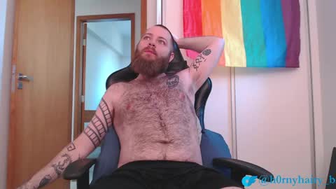 Snapshot of hornyhairy_bi chatting on May 2026 07:31:01 PM Harry online show from May 2026 07:31:01 PM