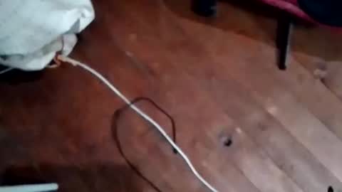 Snapshot of hornypaul84 chatting on November 2025 07:47:01 PM hornypaul84 online show from November 2025 07:47:01 PM