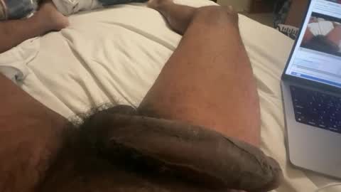 Bbc horsey online show from February 2025 12:21:01 PM