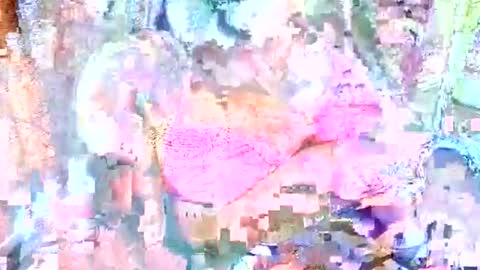 hot_baby_priya online show from October 2025 04:50:01 PM