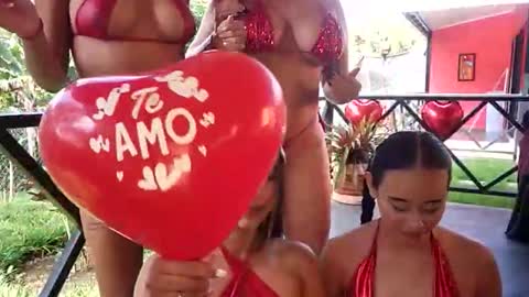 kittens online show from February 2026 02:14:01 PM