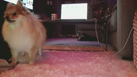 hotgirlbigbutt online show from January 2026 11:15:02 AM