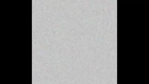 HotMaleNYC online show from November 2025 04:33:01 PM