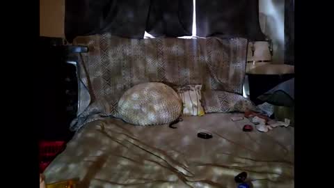 hotrox6942 online show from September 2025 10:51:01 AM