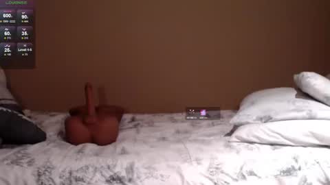 dawn online show from February 2025 03:23:02 AM