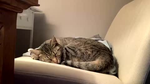 hottiewithabody101 online show from February 2026 02:44:02 PM