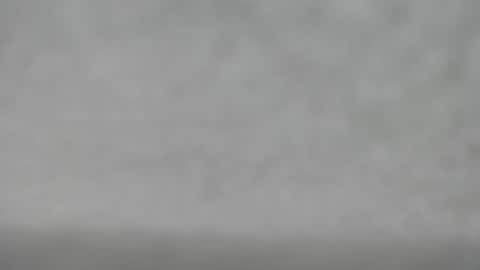 Slutty little female cat online show from October 2025 04:48:01 AM