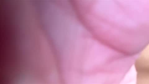 Snapshot of htwnswangn9 chatting on March 2026 04:07:02 AM htwnswangn9 online show from March 2026 04:07:02 AM