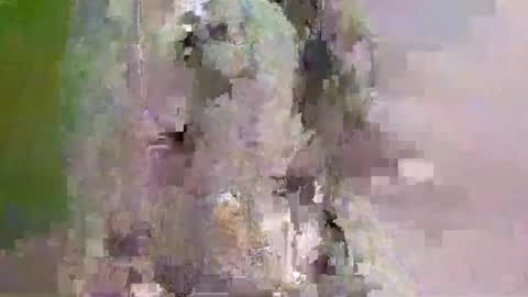 hugexxxcummer online show from May 2026 02:36:02 PM