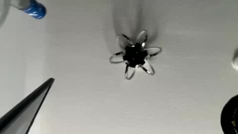 Snapshot of hughfat chatting on January 2025 06:19:02 PM hughfat online show from January 2025 06:19:02 PM