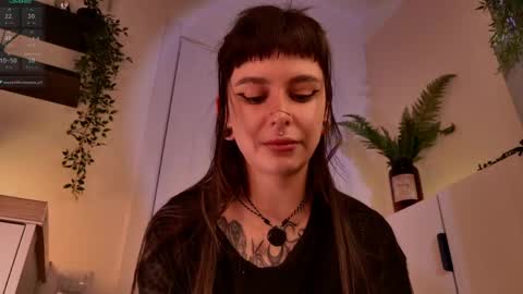 Mika online show from April 2026 06:42:02 PM