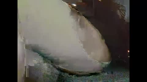 hujiajia520321431 online show from November 2025 10:59:01 AM