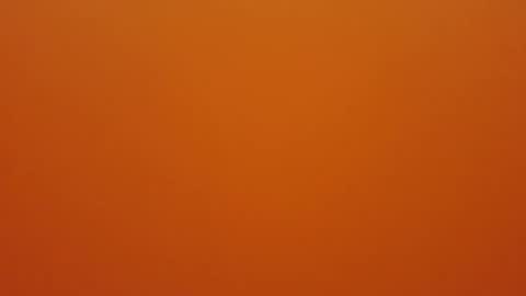 Snapshot of hundeleine chatting on December 2025 09:03:01 AM hundeleine online show from December 2025 09:03:01 AM