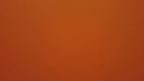 Snapshot of hundeleine chatting on December 2025 11:28:02 AM hundeleine online show from December 2025 11:28:02 AM